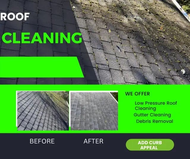 Roof Cleaning Companies Near Pittsburgh PA